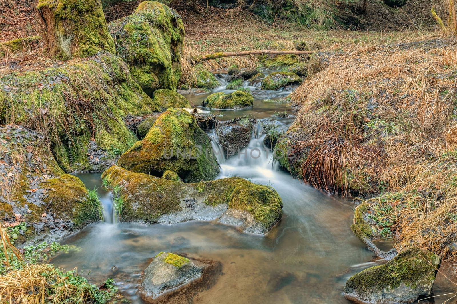Small forest creek in a woodland, long exposure photo, Vysocina, Highland Czech Republic, Europe
