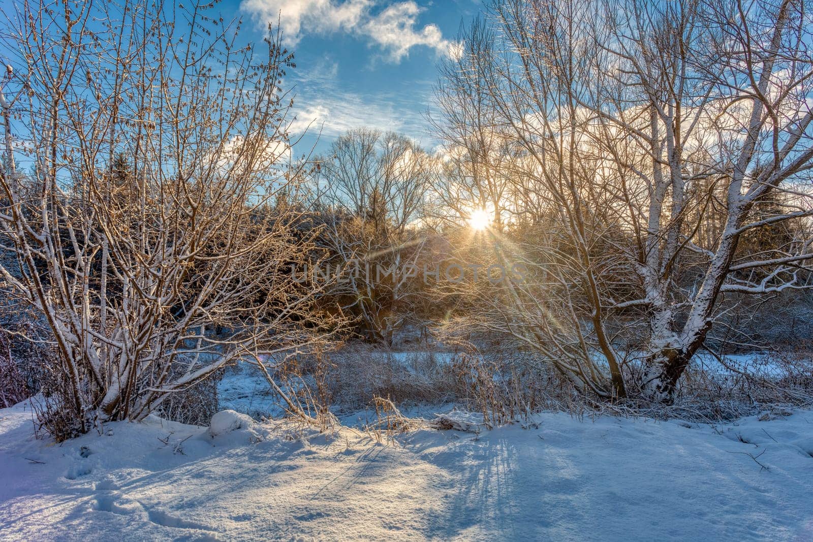 The cool winter morning landscape, Jihlava Vysocina, Czech Republic Europe