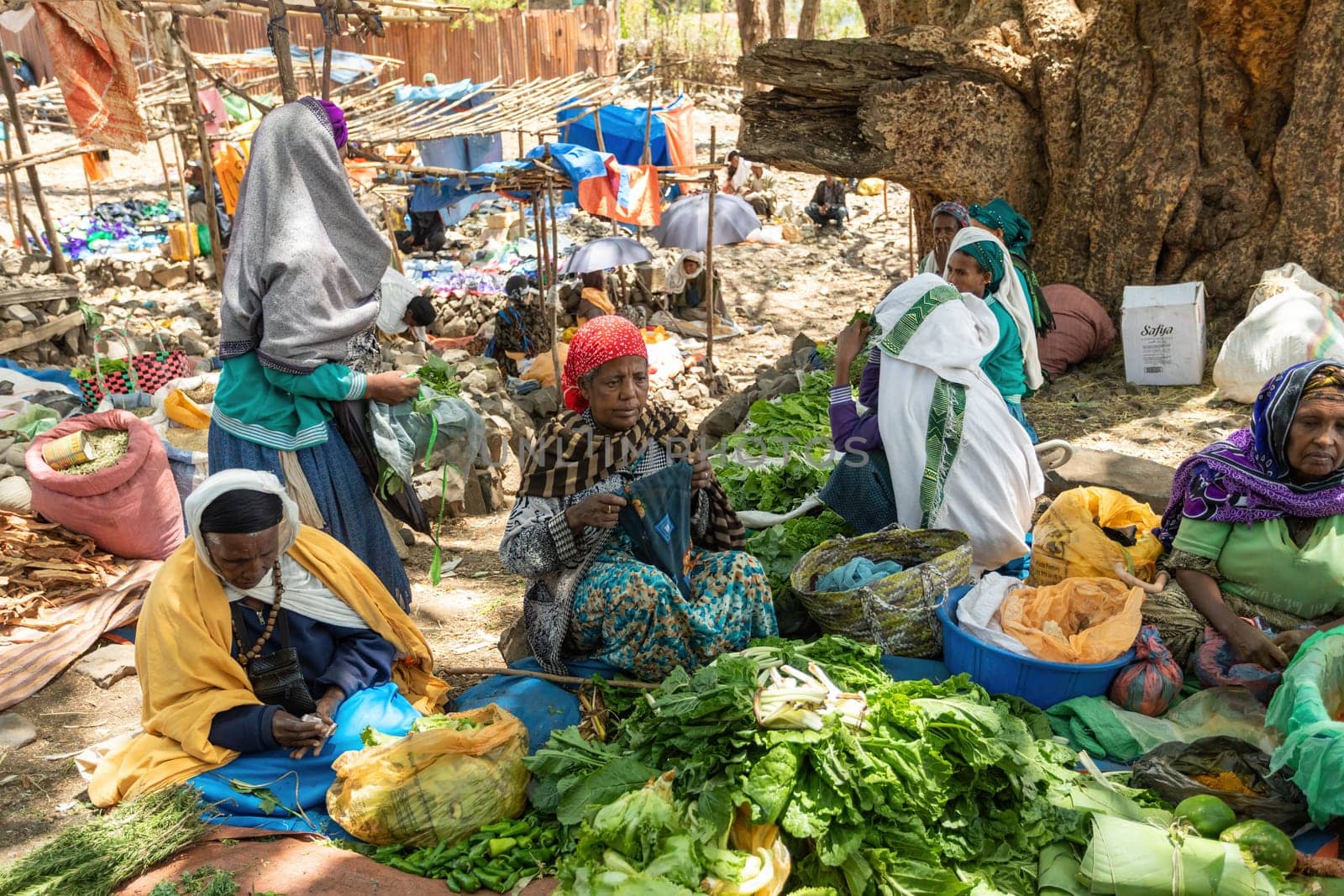 DEBRE LIBANOS, ETHIOPIA - APRIL 19, 2019: Ordinary Ethiopian woman sell fruits and vegetables at a street market near Debre Libanos Cathedral on April 19. 2019 in Debre Libanos, Ethiopia