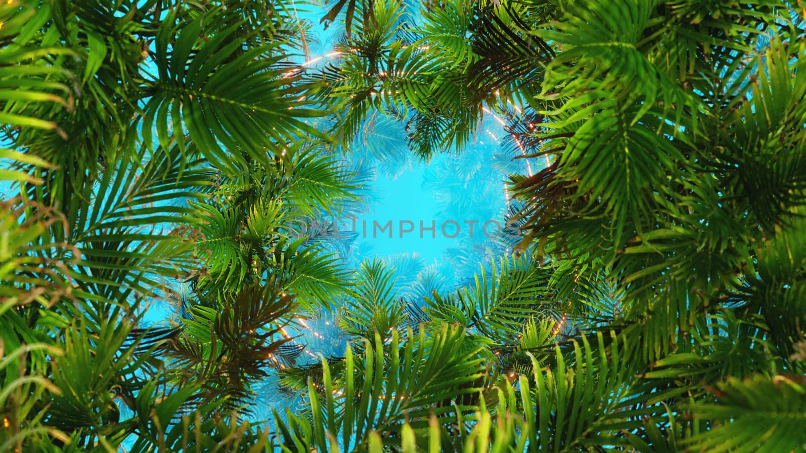 3D illustration Background for advertising and wallpaper in nature and summer scene. 3D rendering in decorative concept.