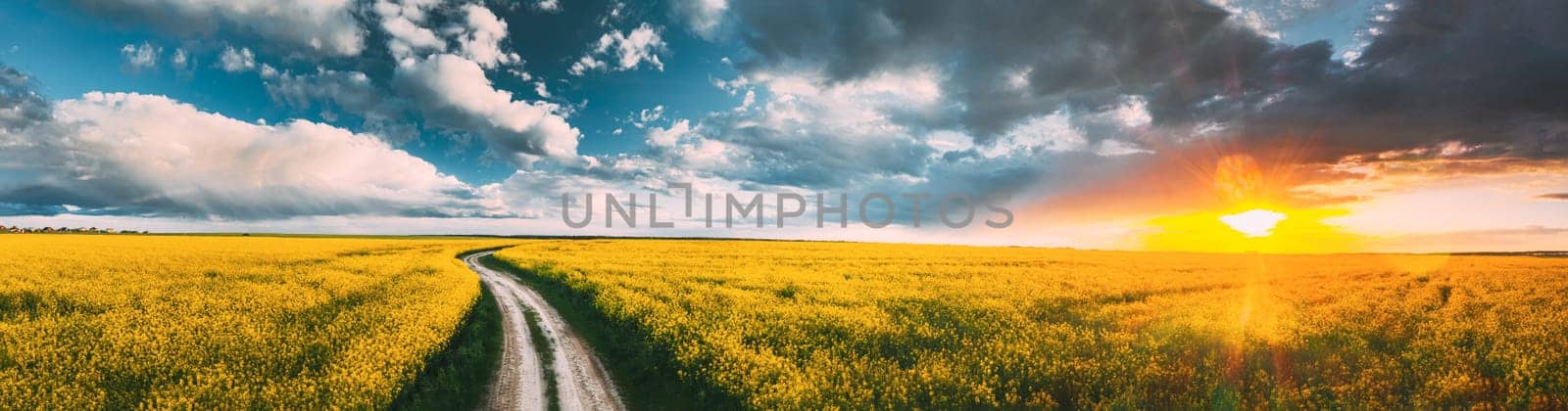 Elevated View Of Sunshine During Sunset Above Rural Landscape With Blooming Canola Colza Flowers. Sun Shining In Dramatic Sky At Sunrise Above Spring Agricultural Rapeseed Field And Country Road. Panorama.