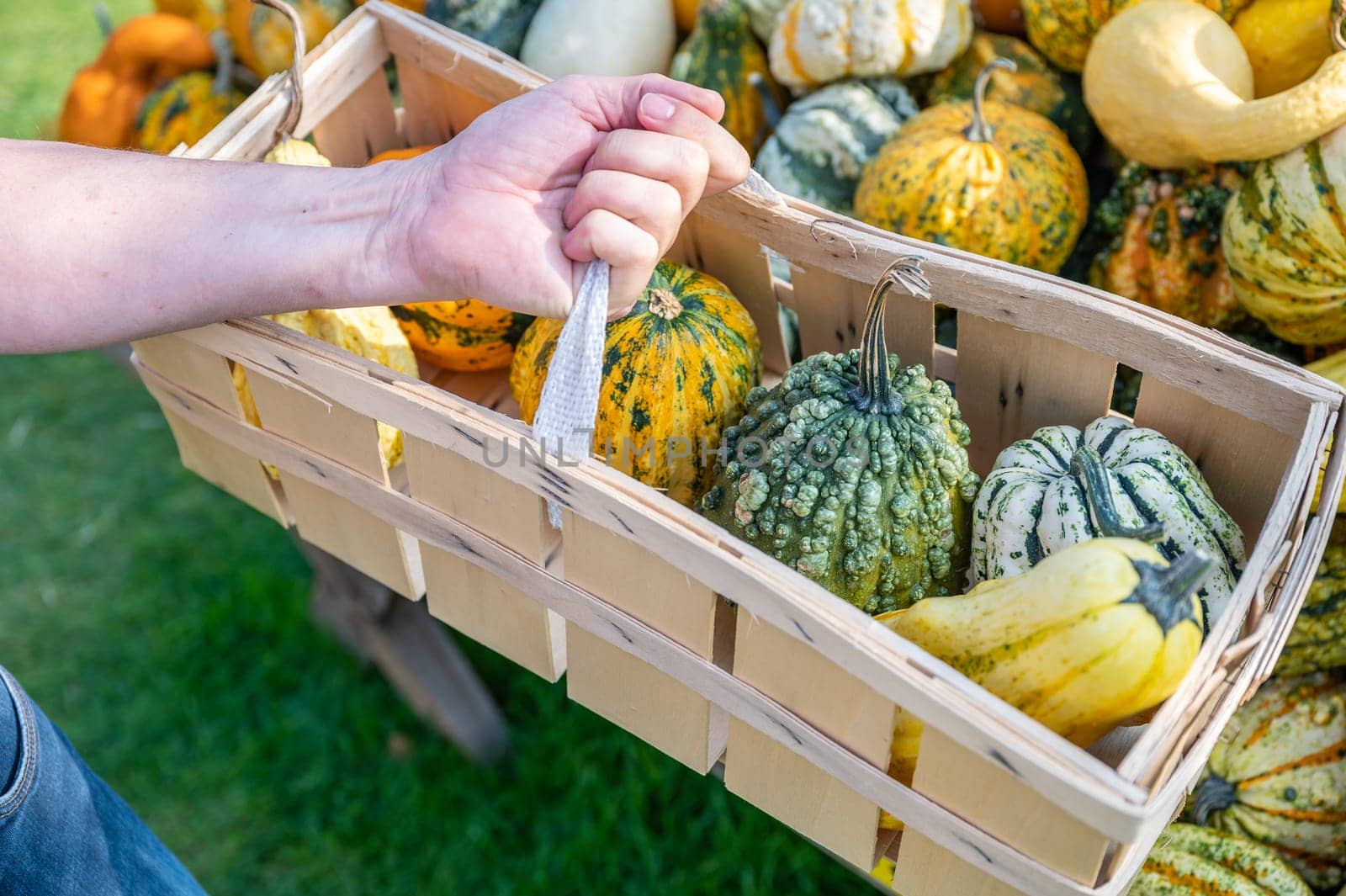 White male customer holding wood basket buying different ornamental gourds, close-up
