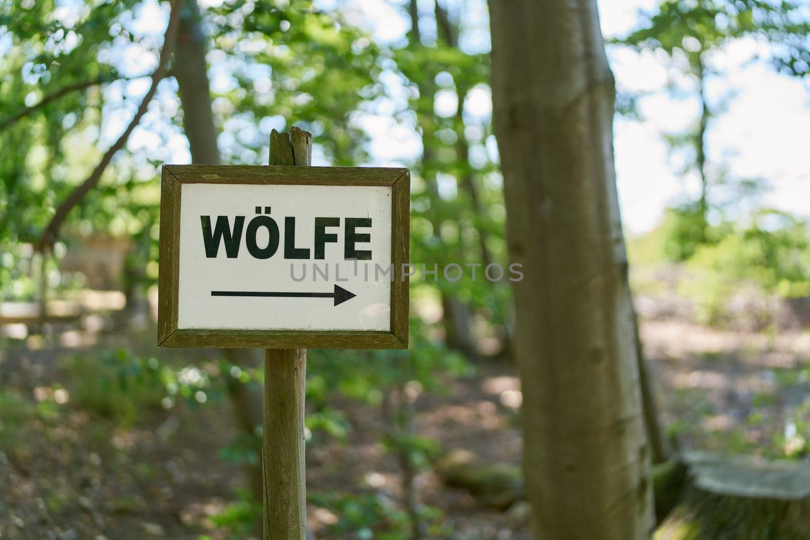 Sign with direction arrow to enclosure with wolves in a Forest in Germany. Translation of the Scripture: Wolves