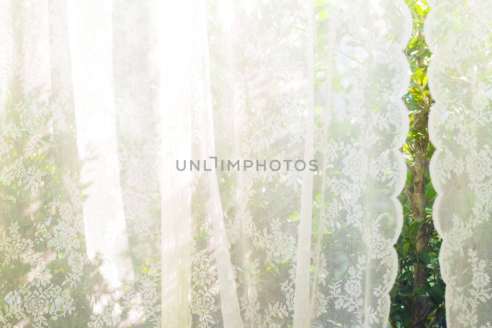 white curtain with window view / tree garden background.