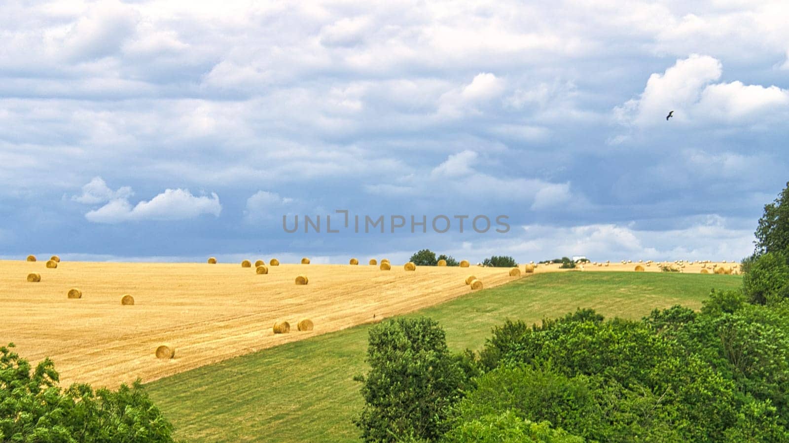 Cornfields on which bales of straw remain after harvest. Wheat was harvested. Food and fodder for livestock. Landscape shot of fields and meadows with trees and path.