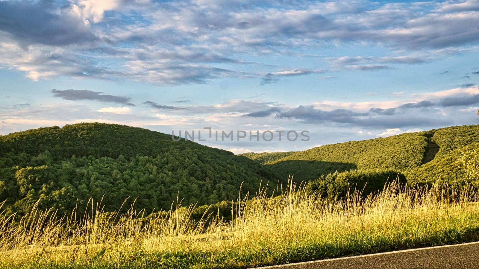 Sunset in Saarland on a meadow with trees and view into the valley. a warm light mood in orange, red and gold