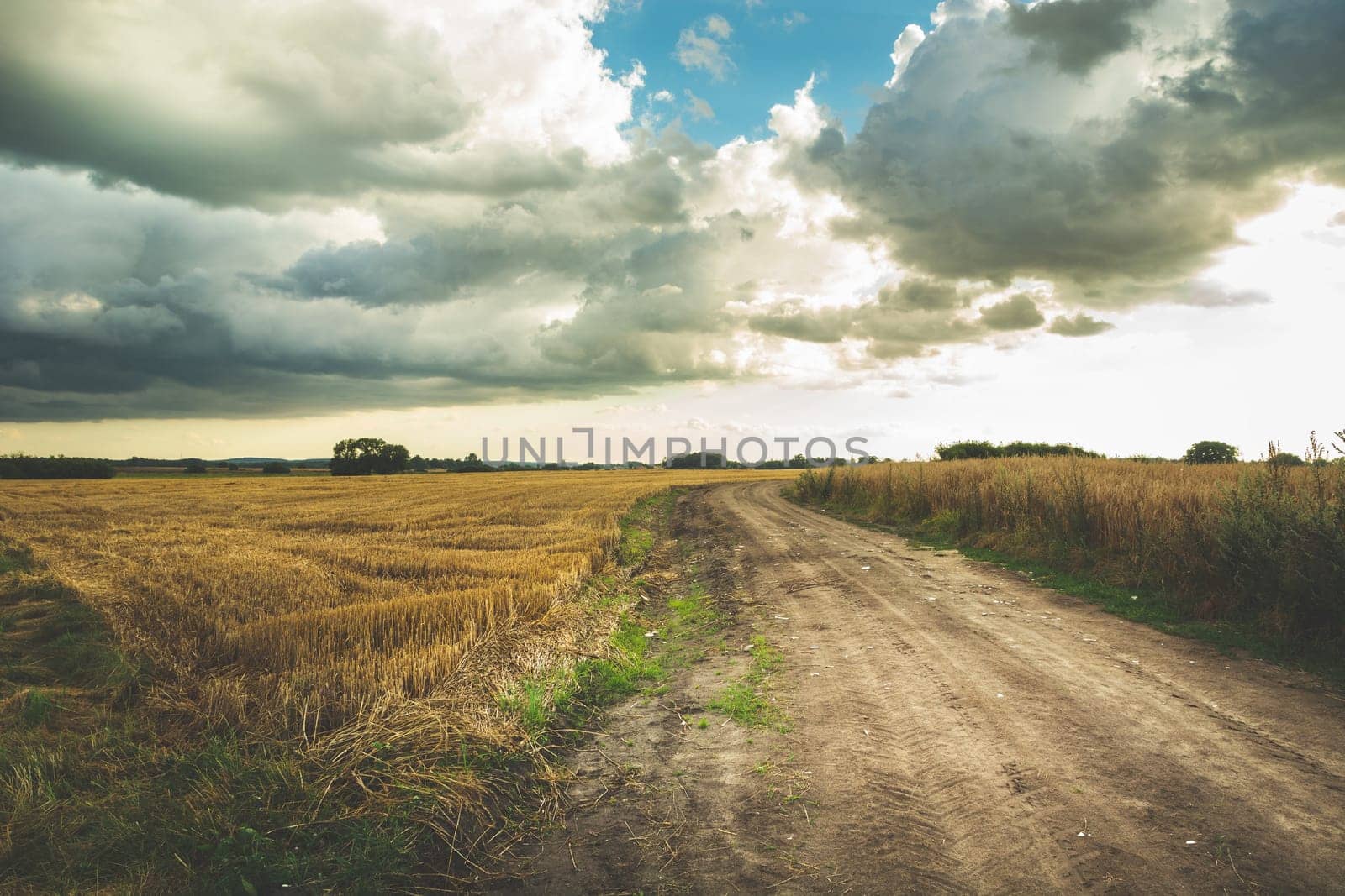 Rural road through farmland and clouds to the sky, summer view