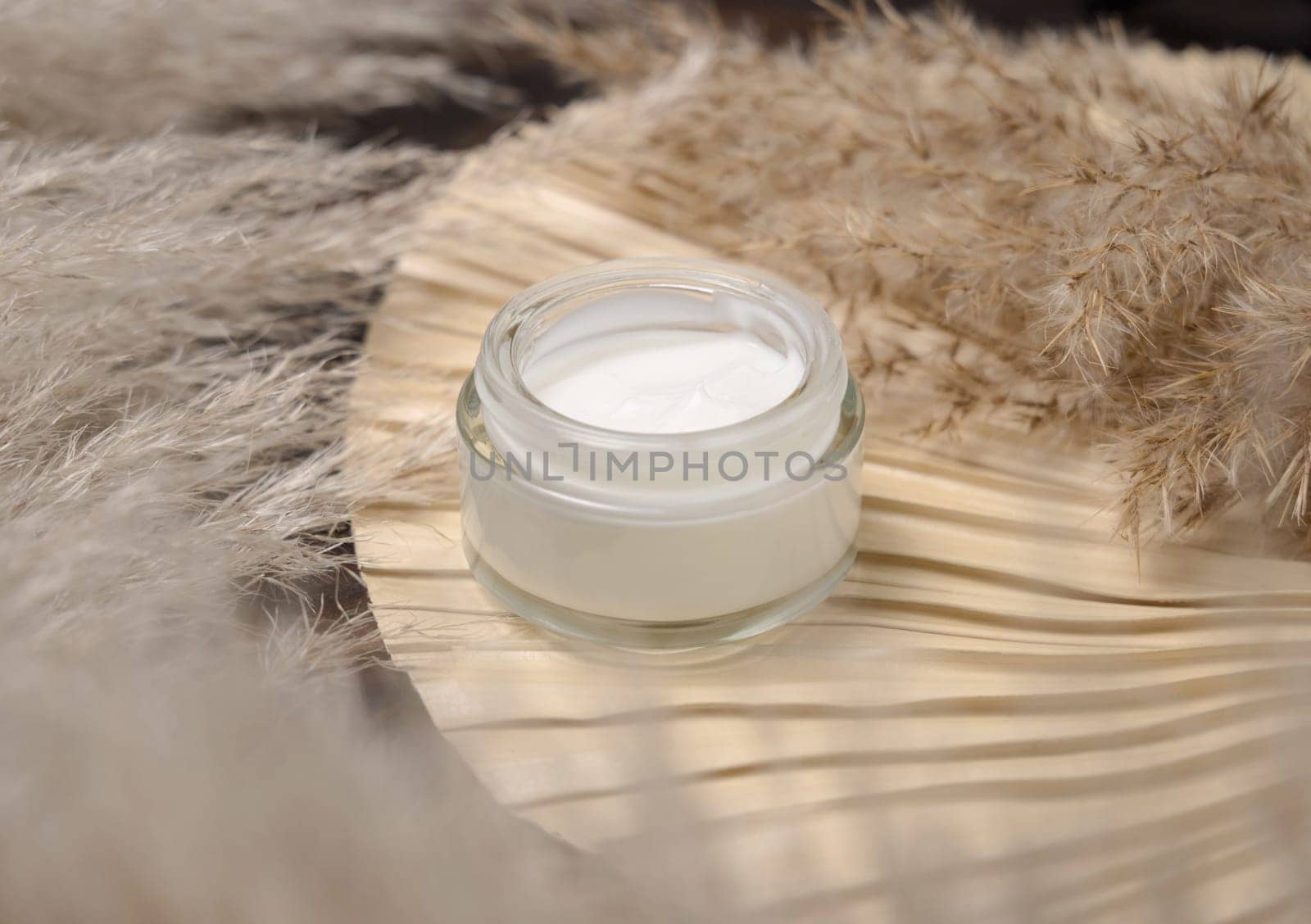 Opened cream jar on dried palm leaf near pampas grass close up, mockup. Skincare beauty product. Bohemian eco friendly cosmetics flat lay with dried leaves on wood.