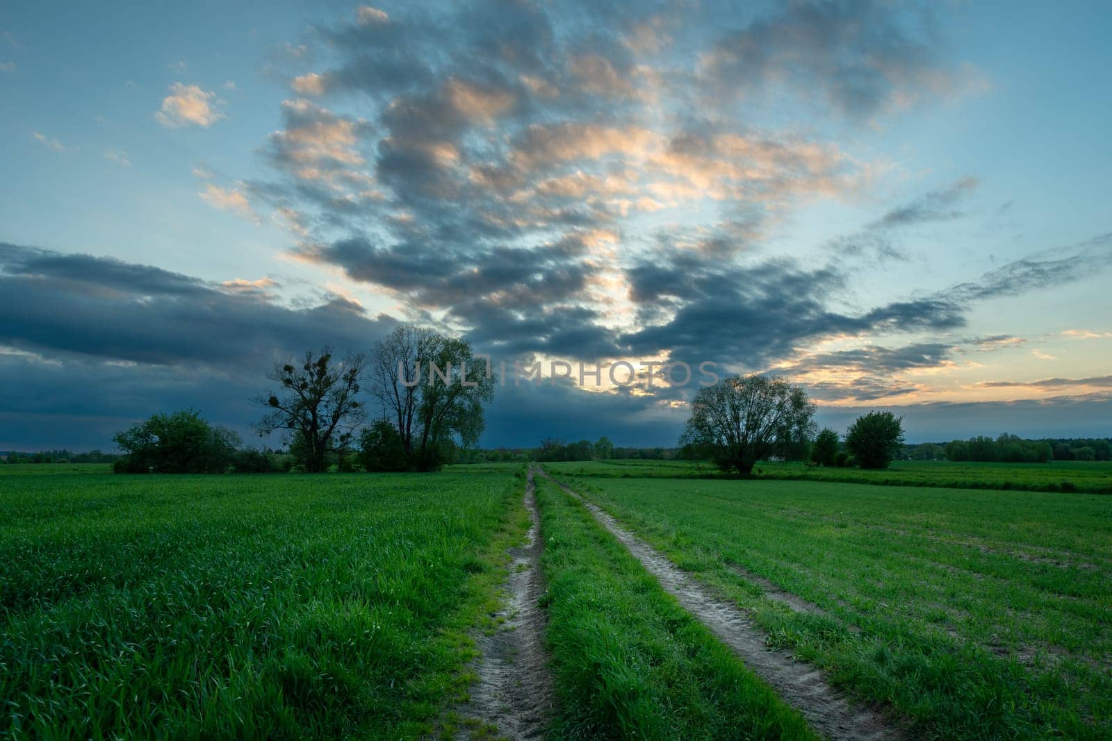 Dirt road through green fields and evening sky, spring evening