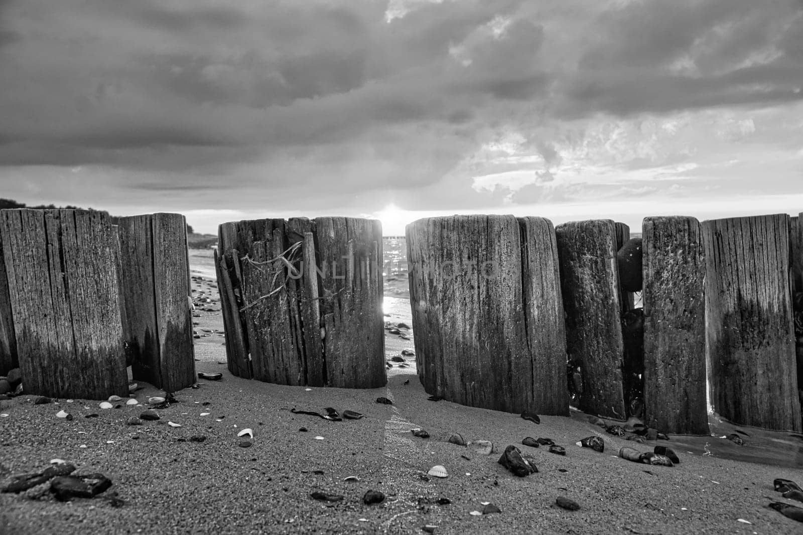 in black and white, groynes jutting into the sea, at sunset. Beach with stones in the foreground. taken in zingst on the darss. the perspective is directed to the horizon