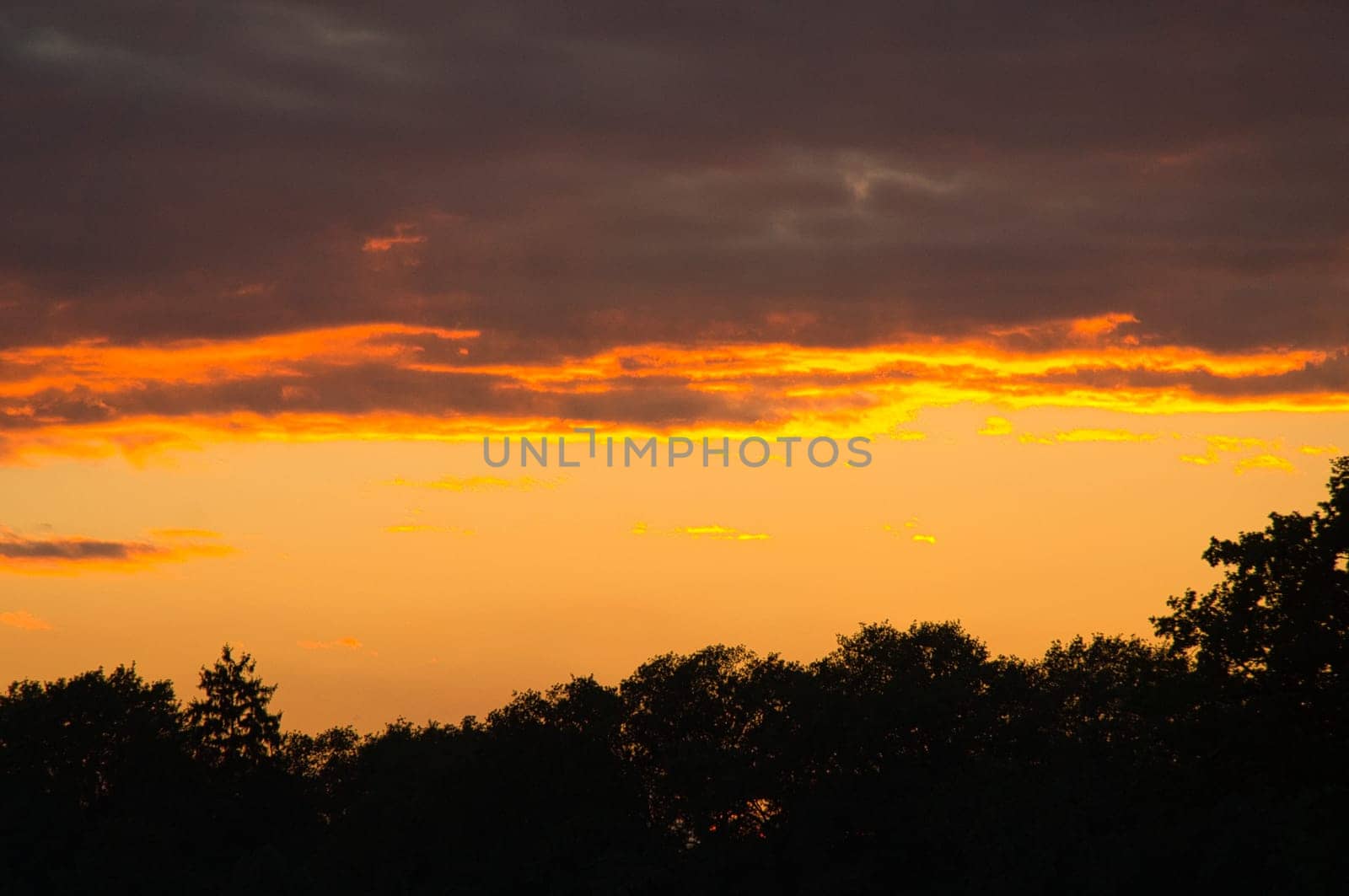 Setting sun on the outskirts of Berlin. The sky seems to burn. Romantic evening sky.