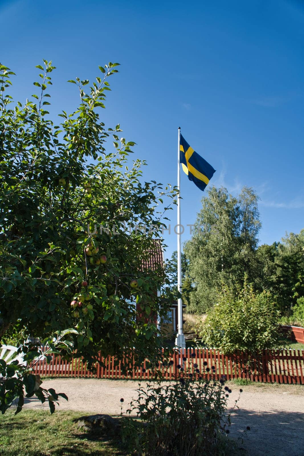 Sweden flag on flagpole on a farm in front of a tree in Smalland. The blue and yellow flag is flying in the wind. Detail shot