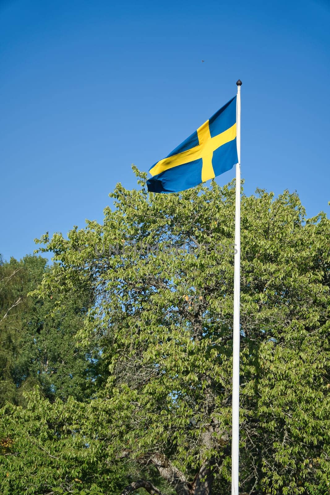 Sweden flag on flagpole on a farm in front of a tree in Smalland. The blue and yellow flag is flying in the wind. Detail shot