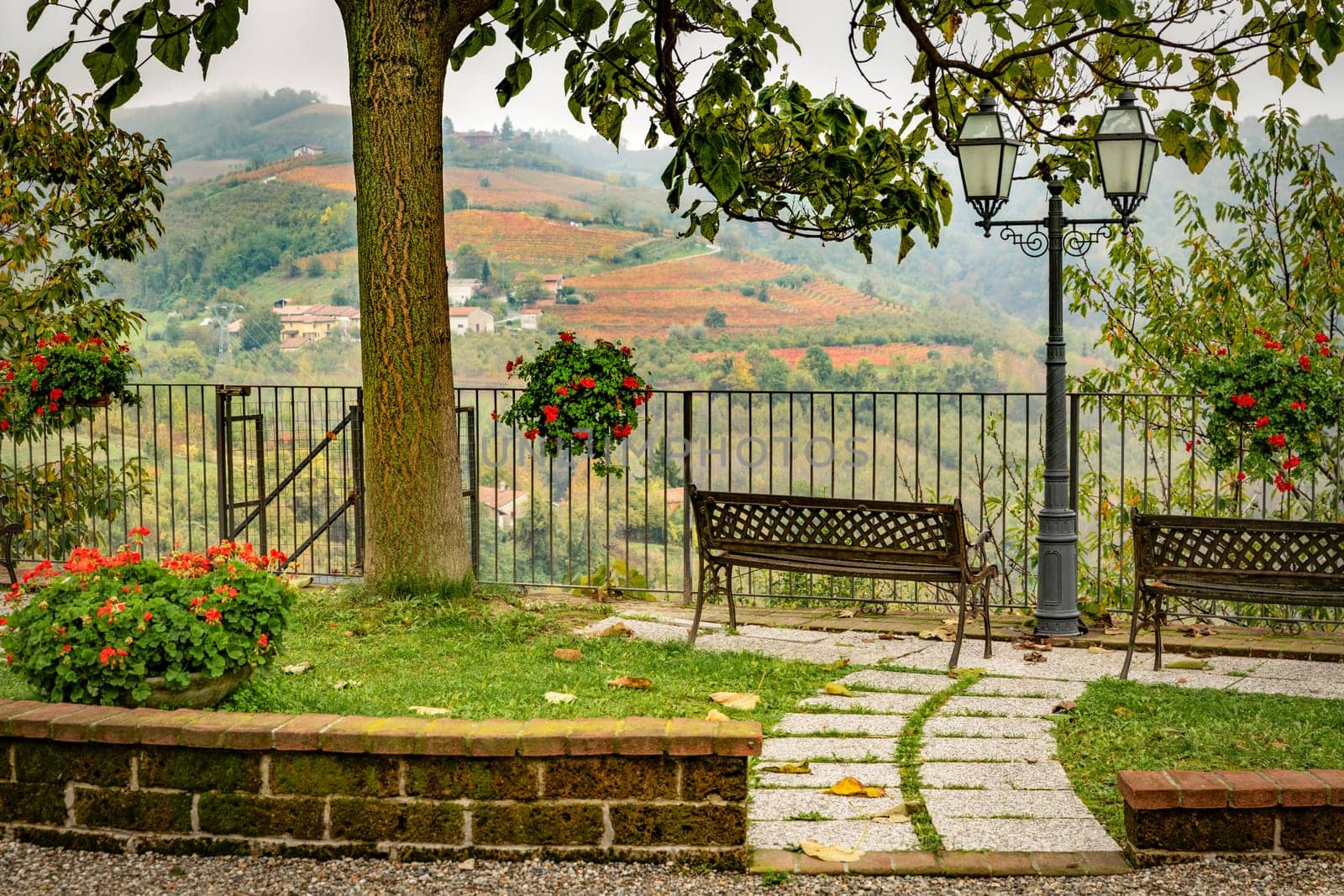 Barolo wine region, Langhe, Piedmont, Italy