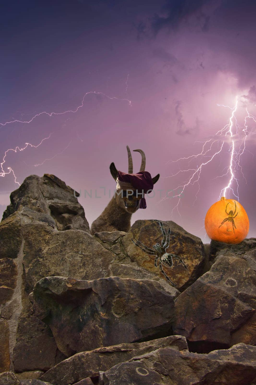 image composing for Halloween with ibex, skull, bayonet, cross spider, pumpkin, creepy. Composite images for the holiday. Composing