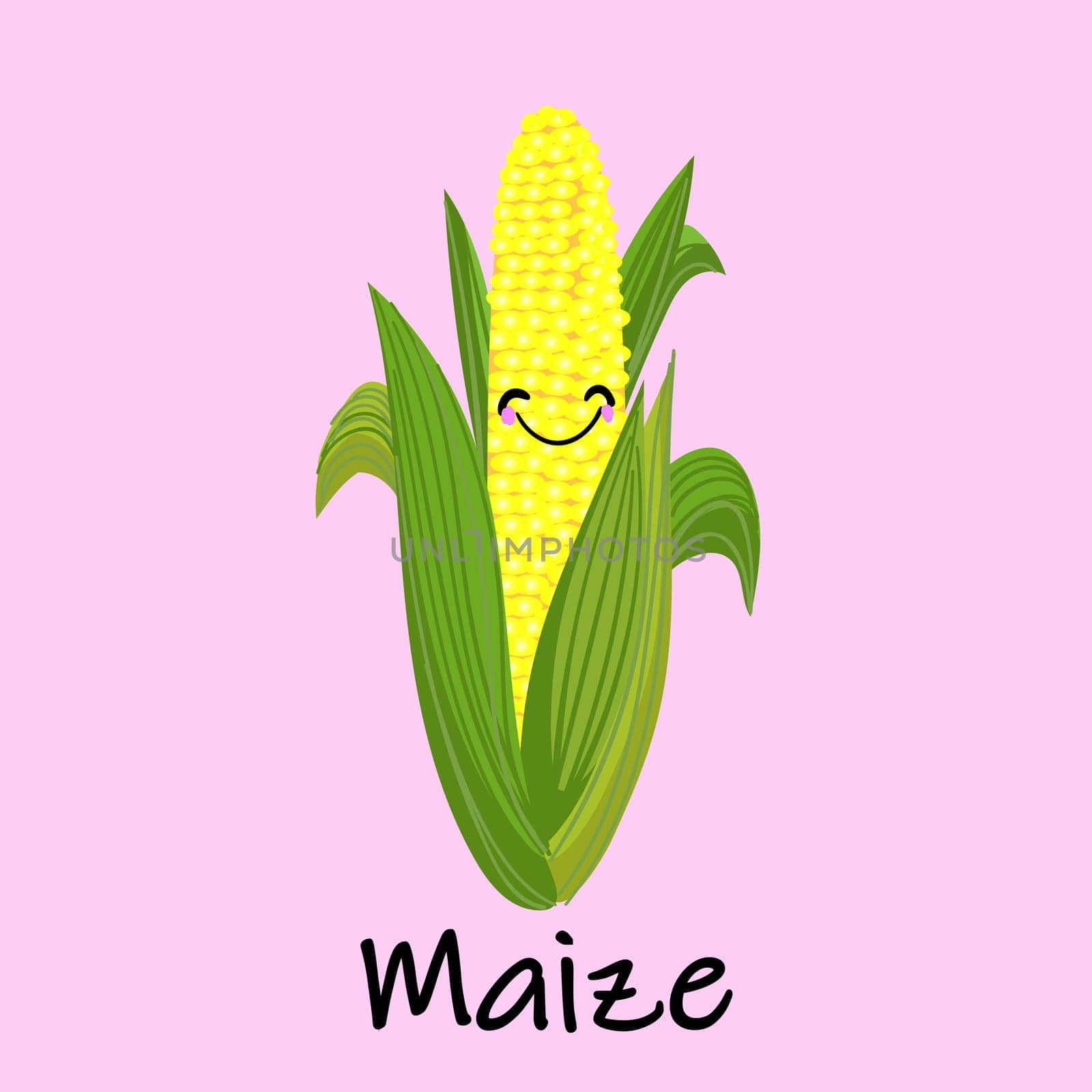 Vector Cartoon Golden Corn. Natural maize icon. Flat illustration of natural maize vector icon for web design.