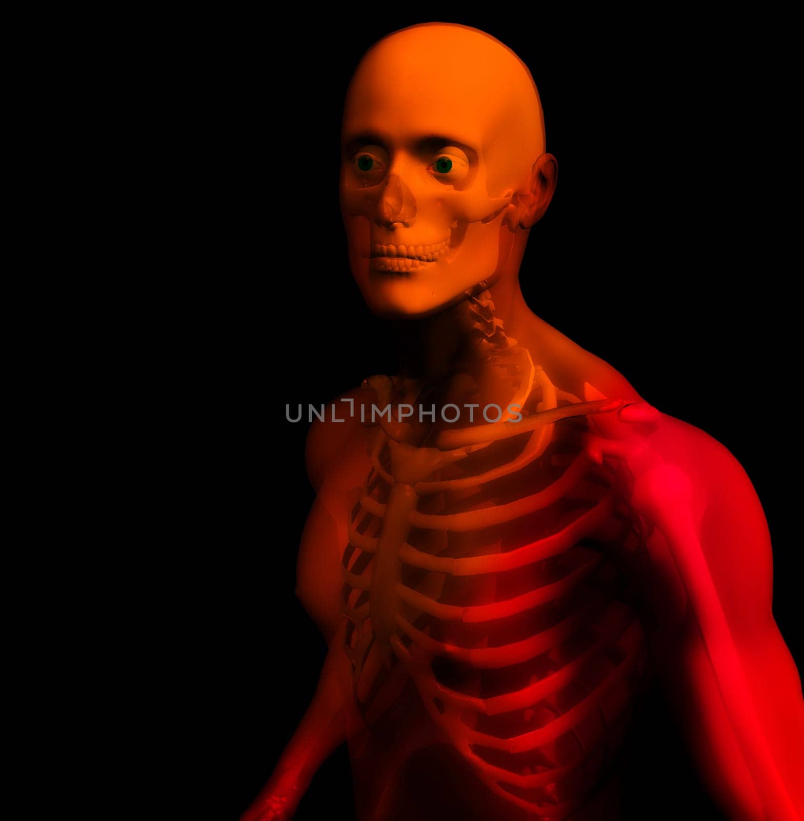 An x ray image of a man in which you can see the Skelton under the skin.
