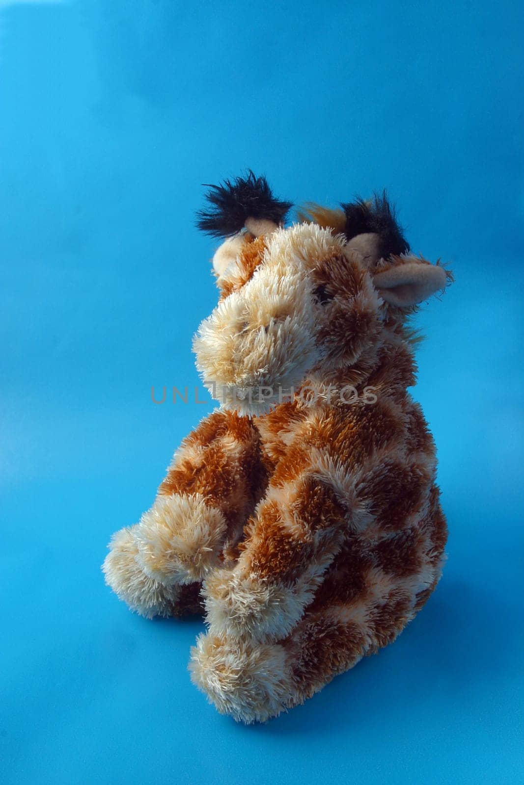 A stuffed giraffe on a blue background