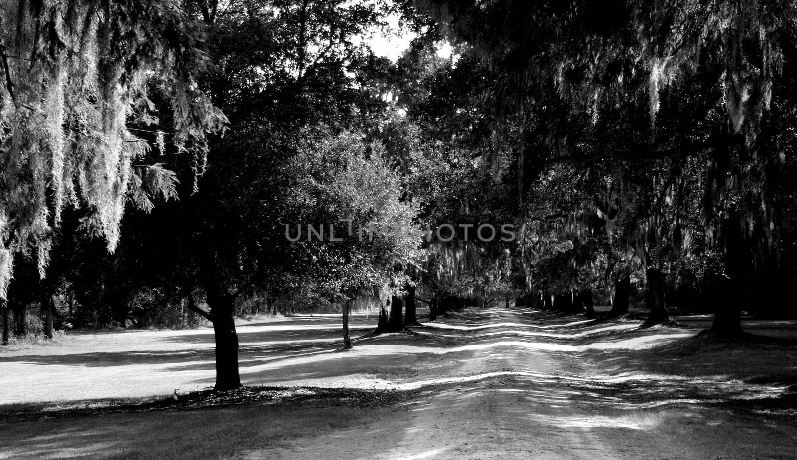 Country road