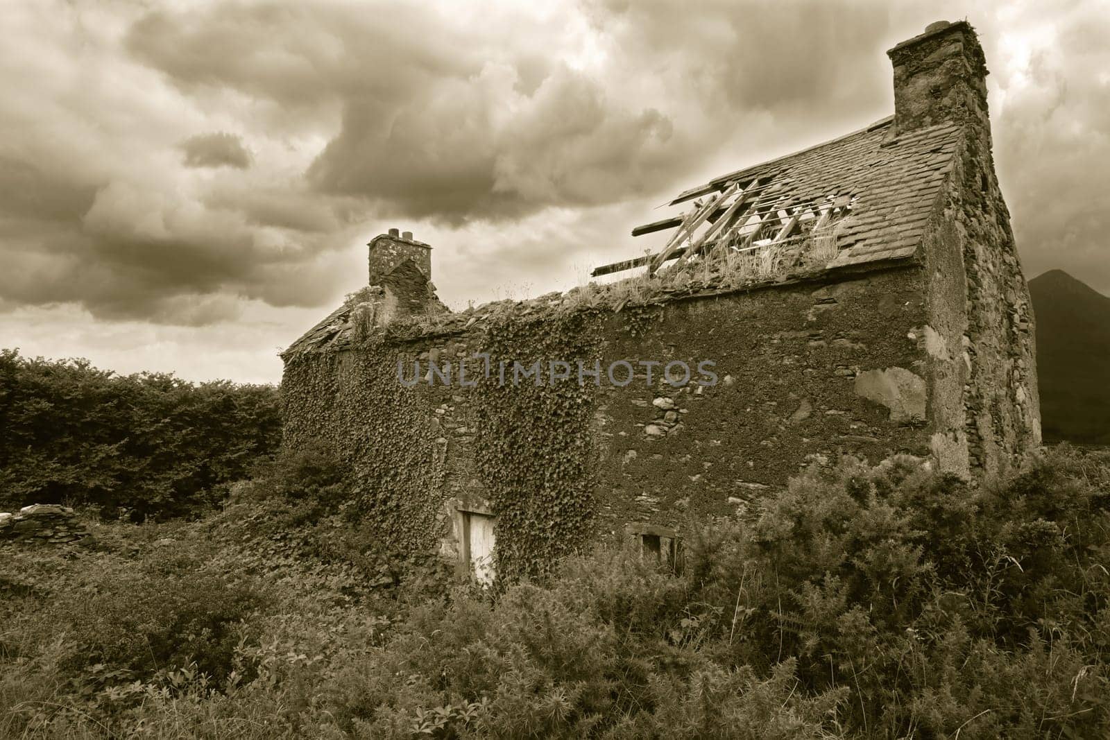 A derelict house somewhere in Ireland.