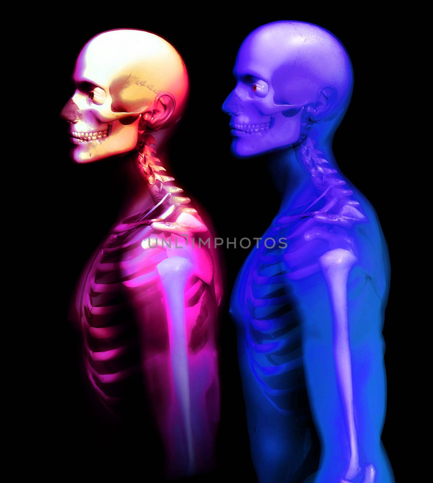 An x ray image of a some man in which you can see the Skelton under the skin