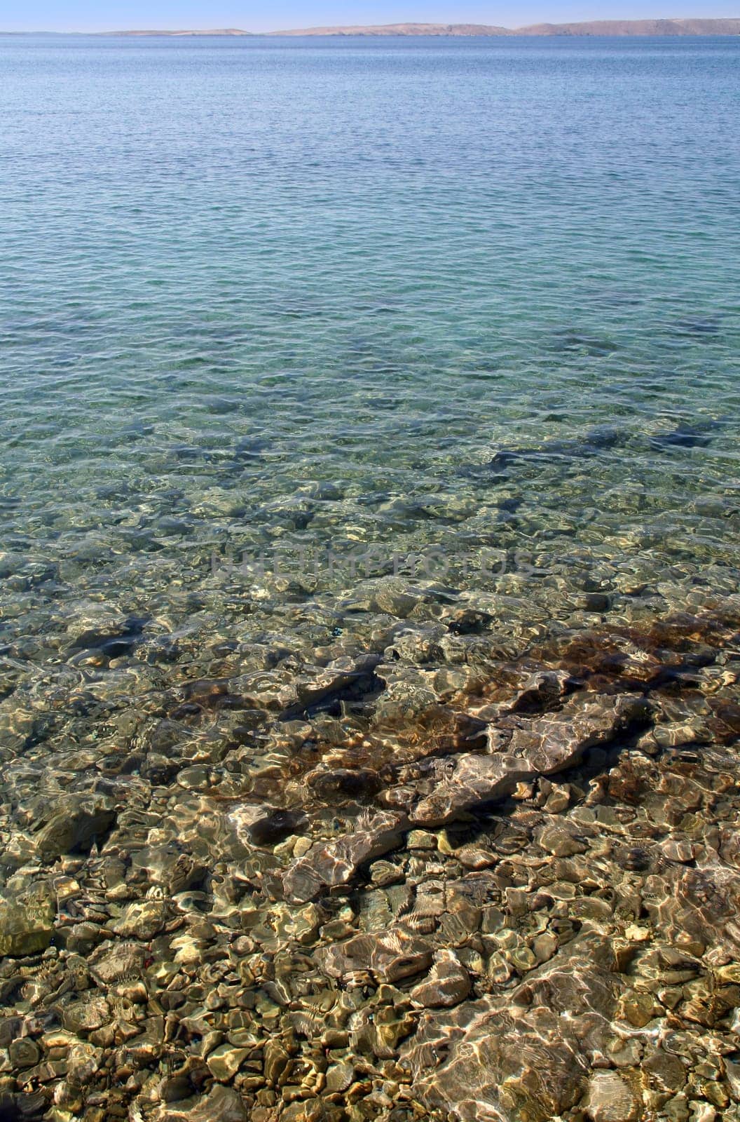 clear water shows stony bottom/ground of the sea/ocean