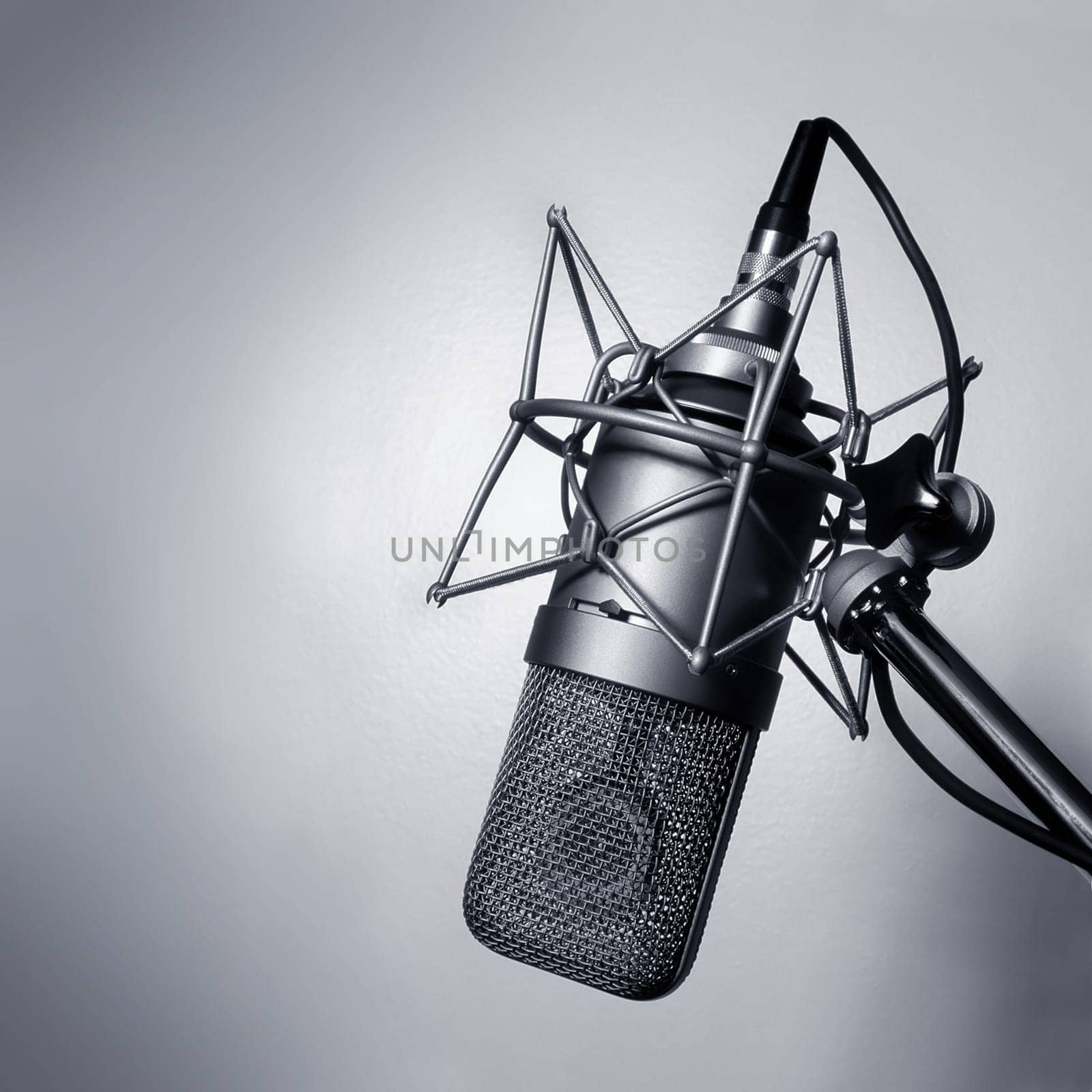 Black and white image of a studio microphone.