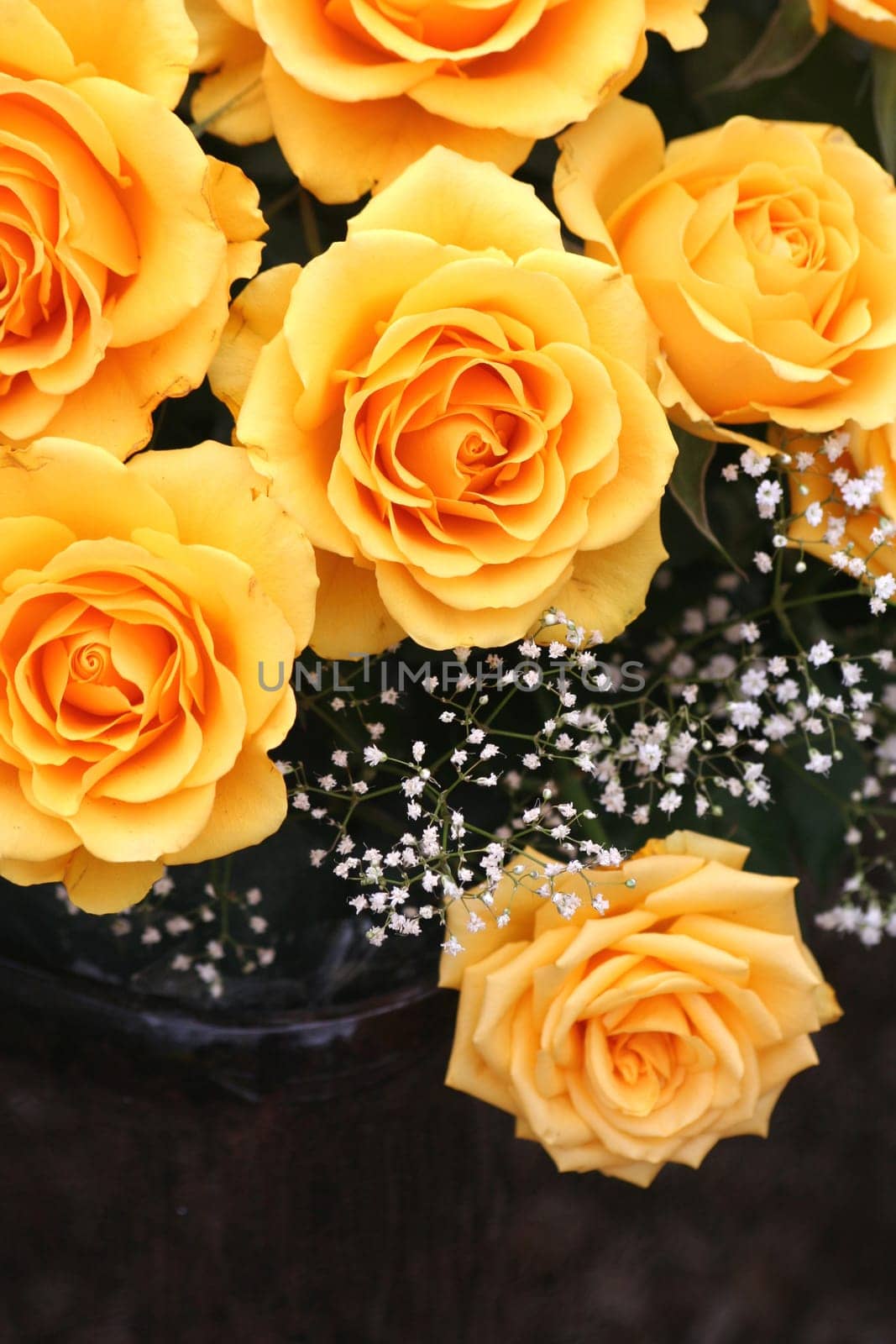 Yellow roses