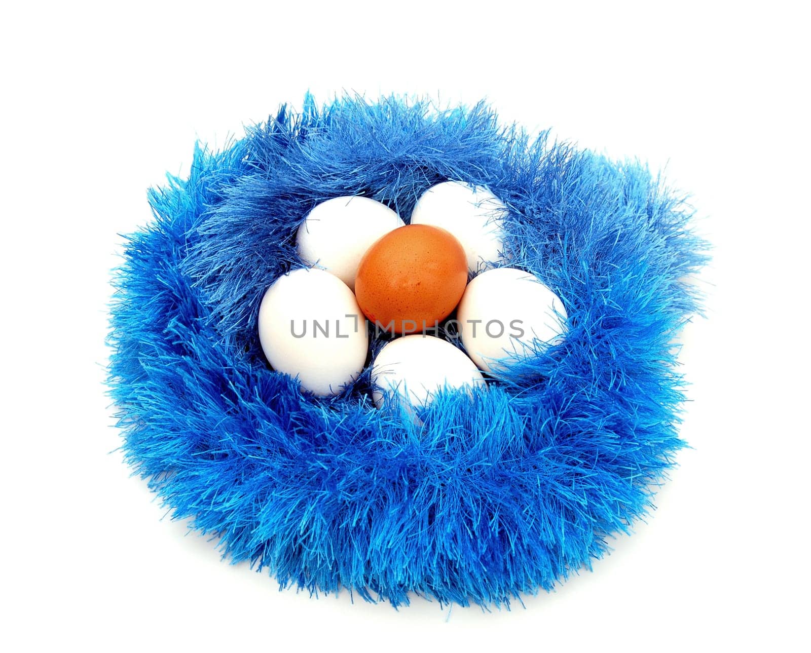 egg nest