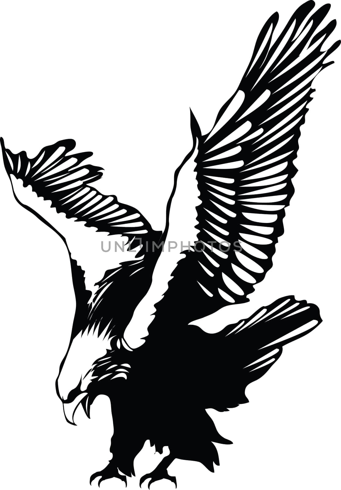 Vector flying eagle
