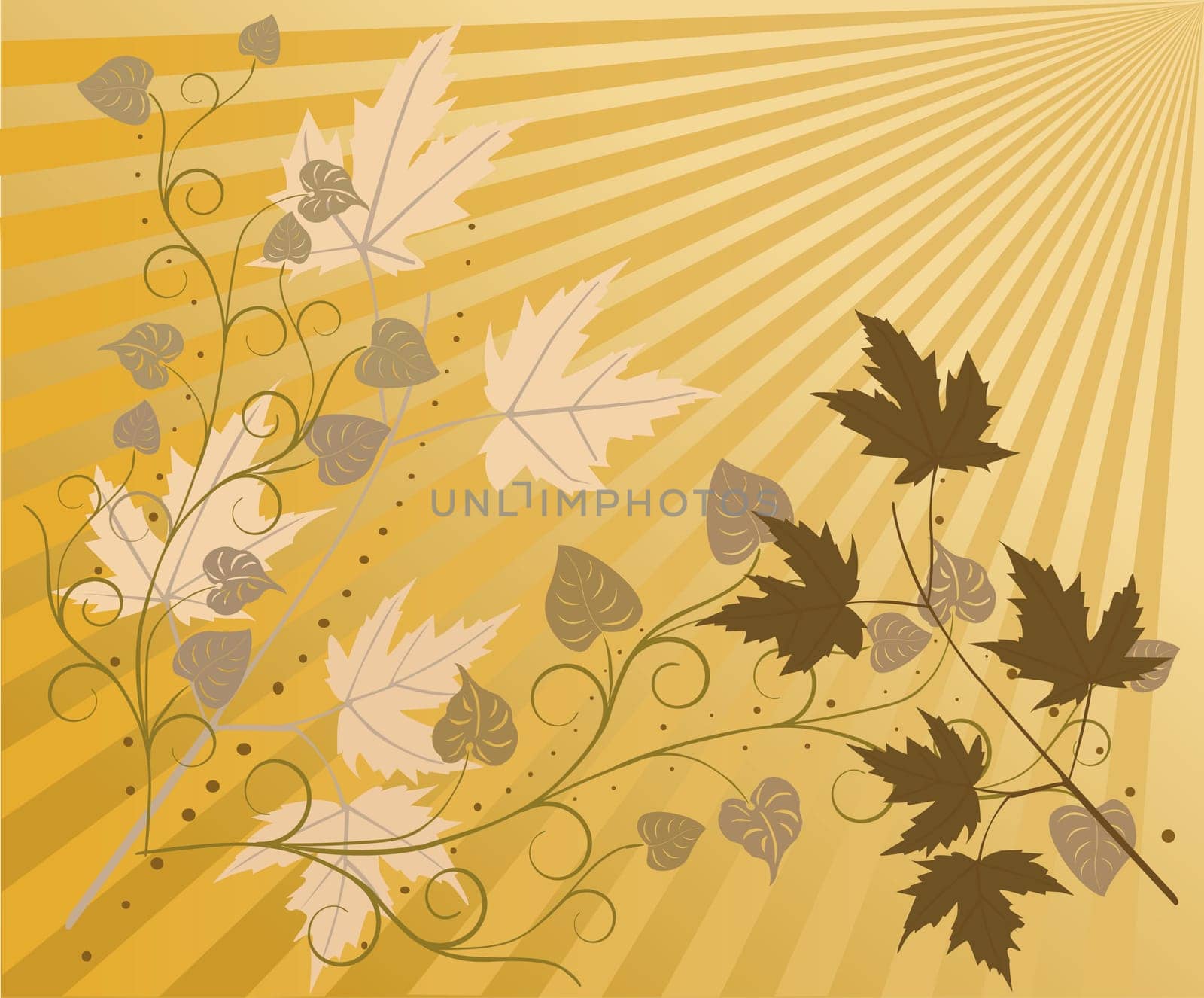 Floral abstract art modern spring vector