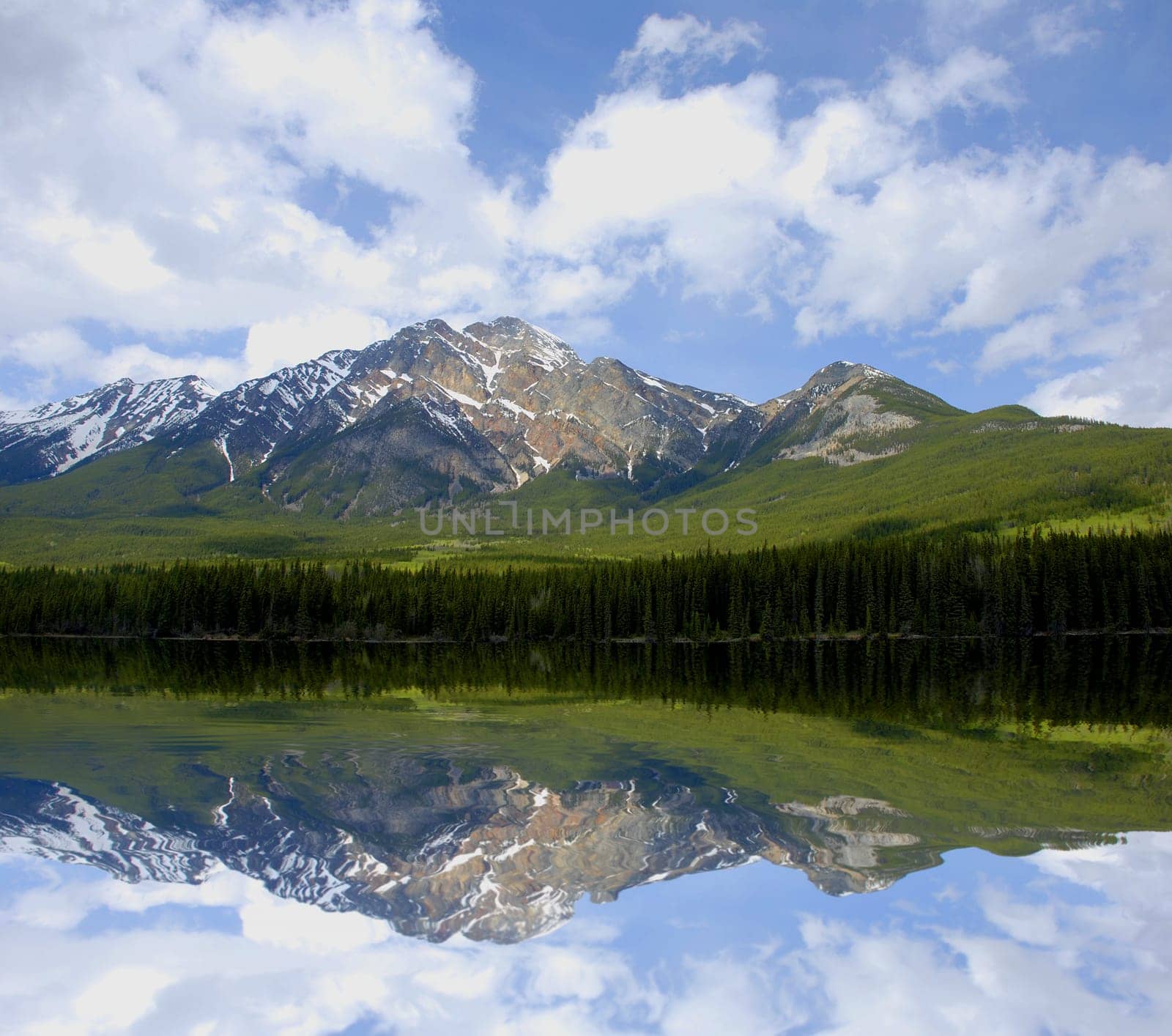 lake forest and mountains