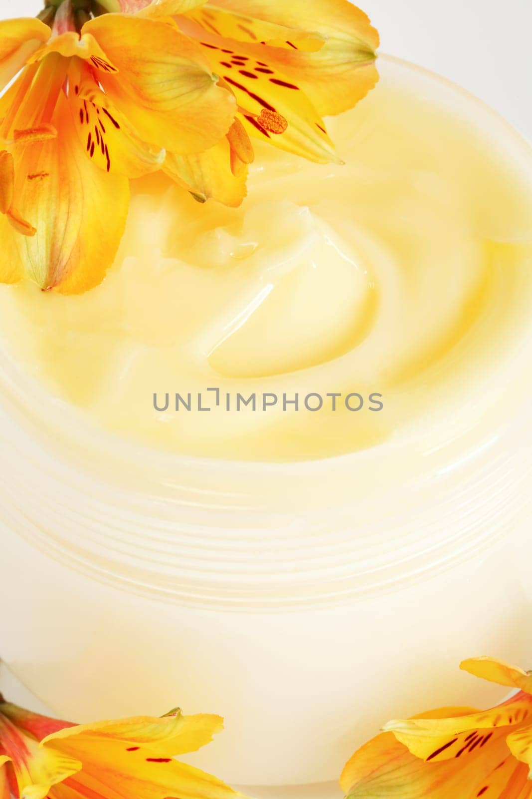 Face or body cream of natural basis
