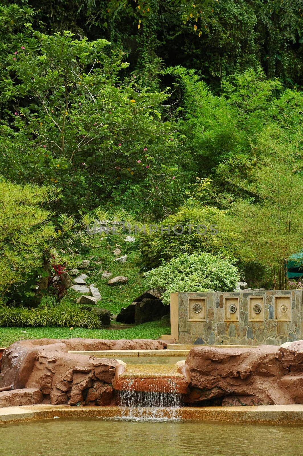 Very relaxing and beautiful recreation pond at park