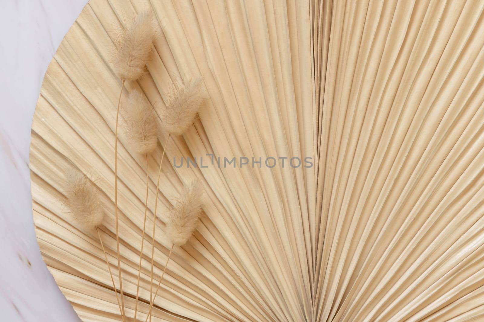 Dry beige palm leaf and hare's tail grass top view, natural bohemian bakground. Boho scene, minimal composition.