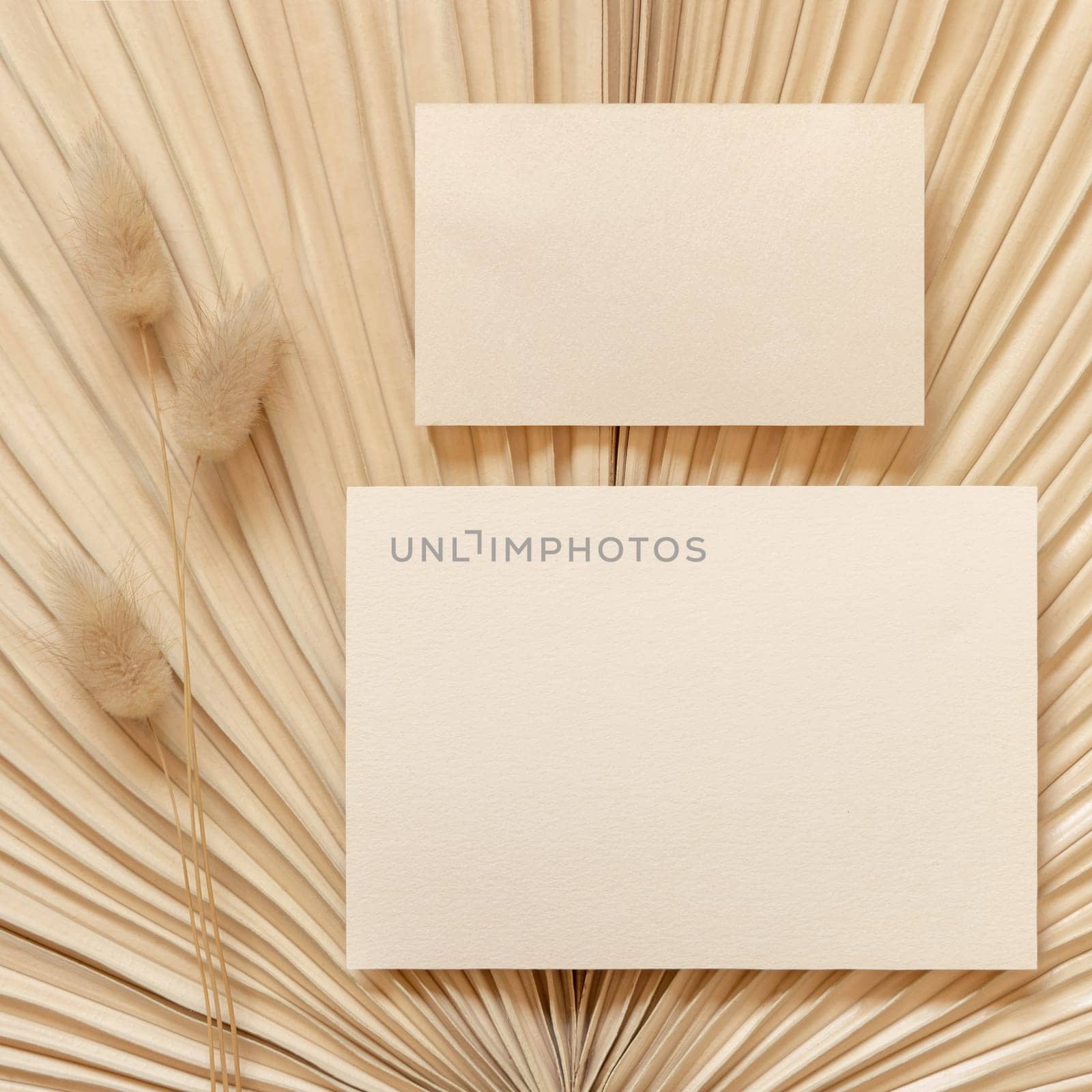 Blank cards on dry beige palm leaf near hare's tail grass top view, mockup. Boho scene with horizontal paper cards. Bohemian or close to nature greeting or wedding stationery. Minimal composition.