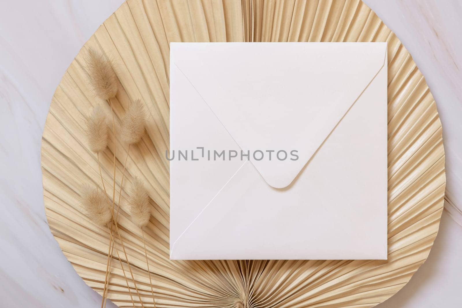 Square envelope on dry beige palm leaf near hare's tail grass top view, mockup. Boho scene with envelope . Bohemian or close to nature greeting or wedding Invitation. Minimal composition.