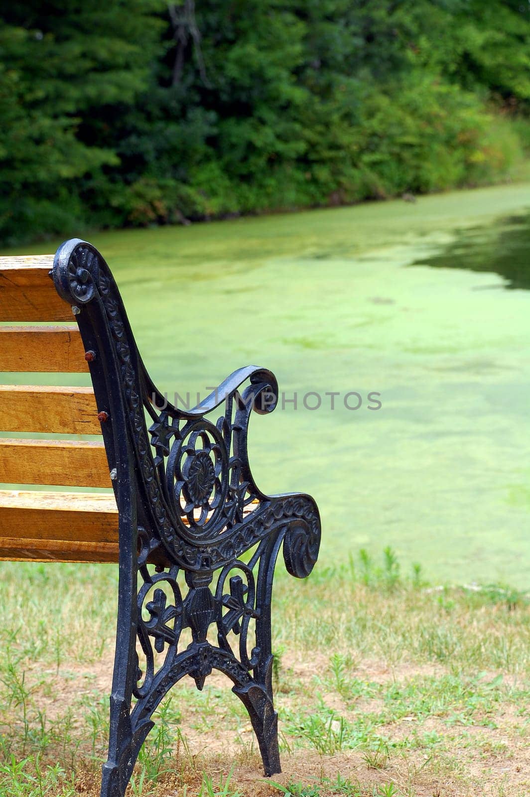 Wood bench by river