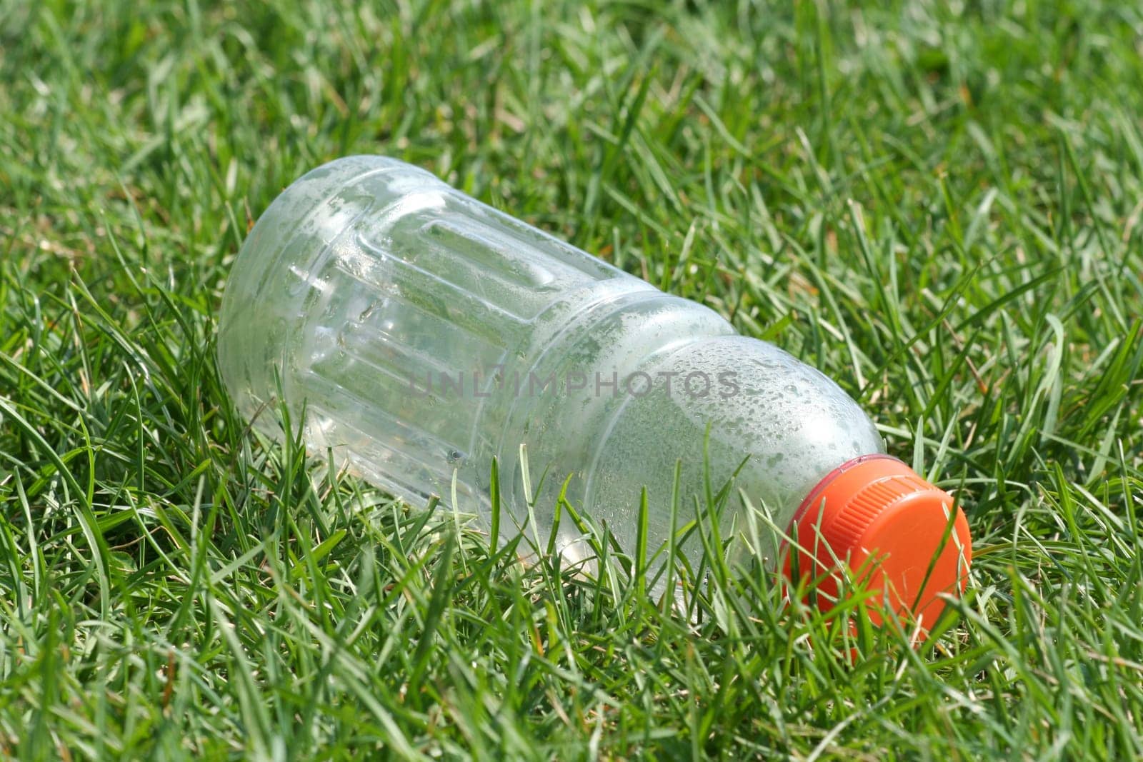 Empty bottle at a field
