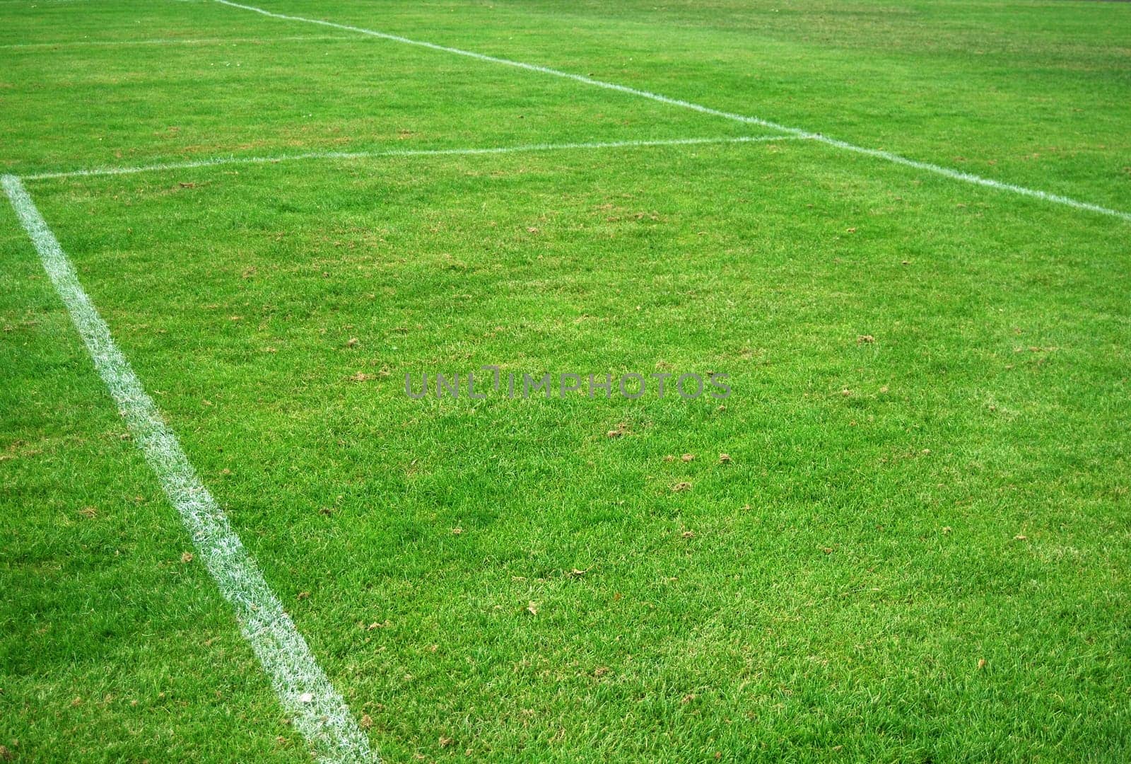 The inner square lines of a football pitch goal area