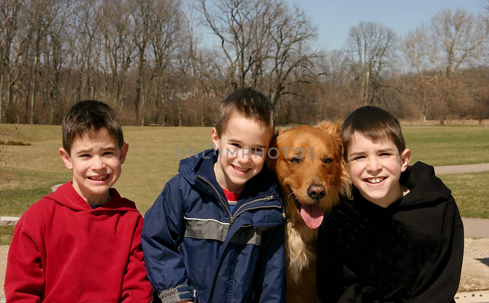 Golden Retriever insisting on being in the Picture