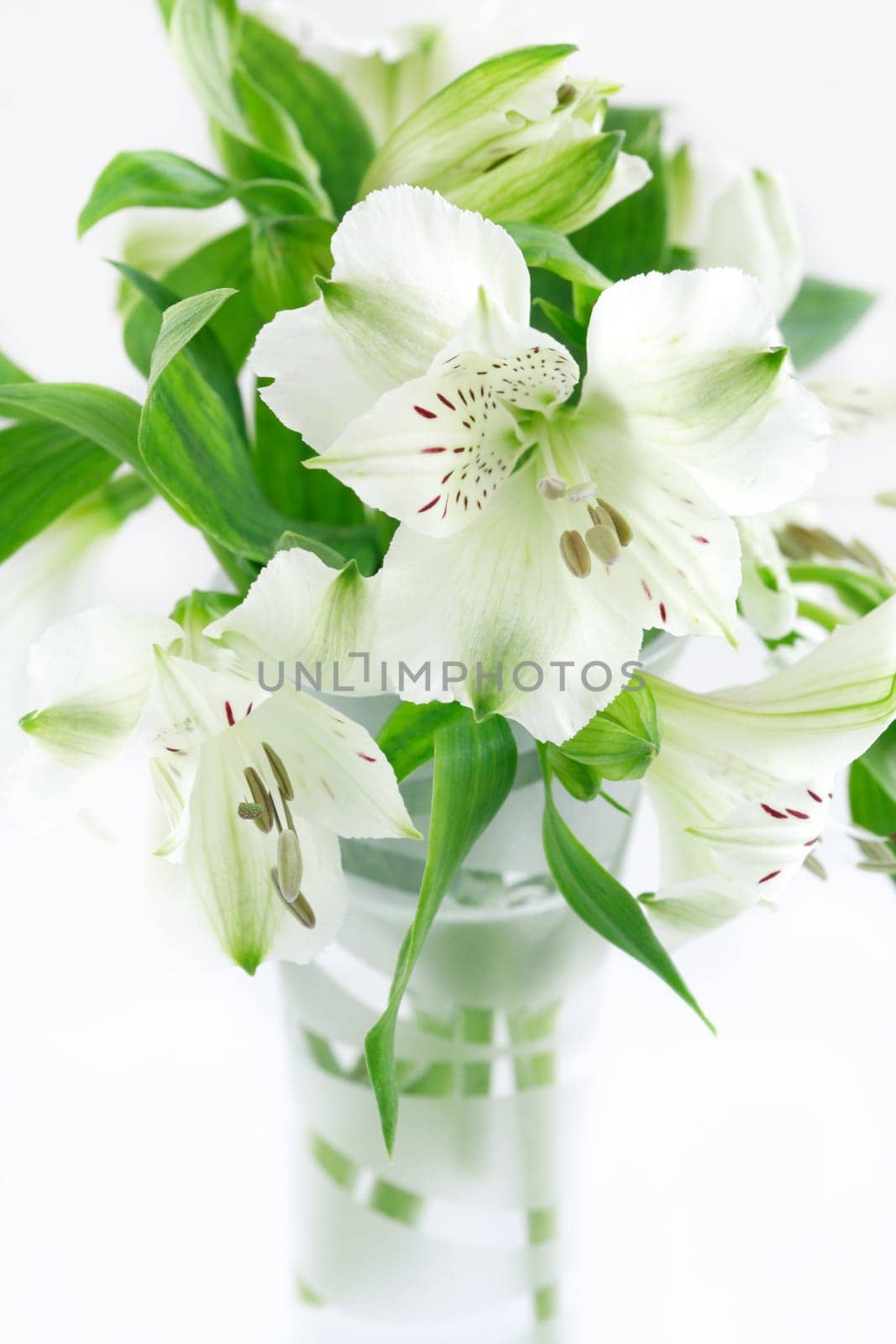 Detail of summer flowers