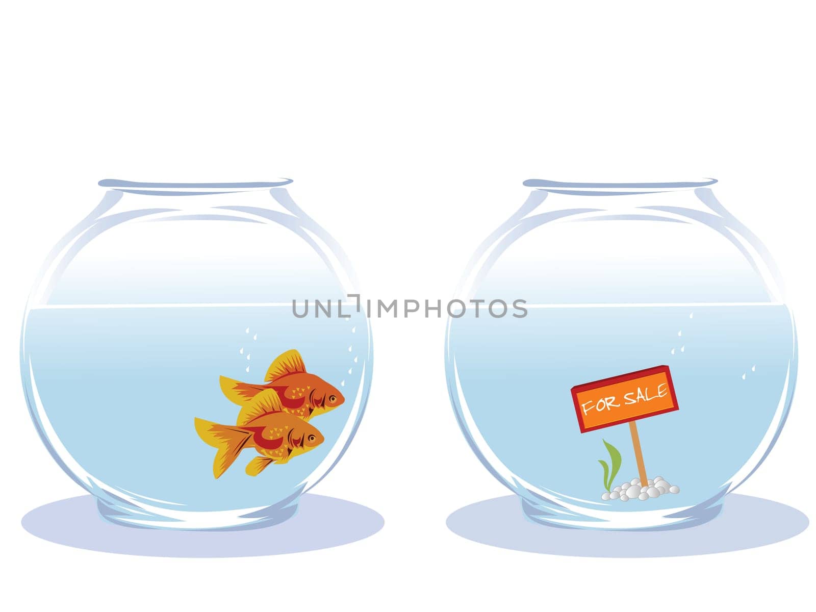 Two goldfish looking for new house