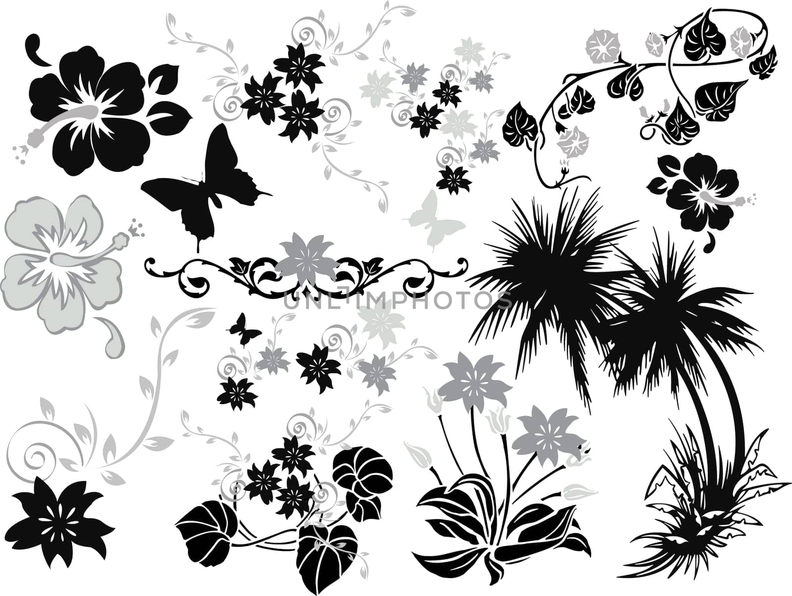 Vectorized design elements.