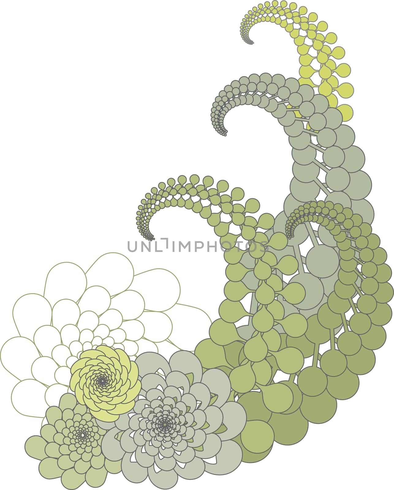 abstract geometric floral design on white background