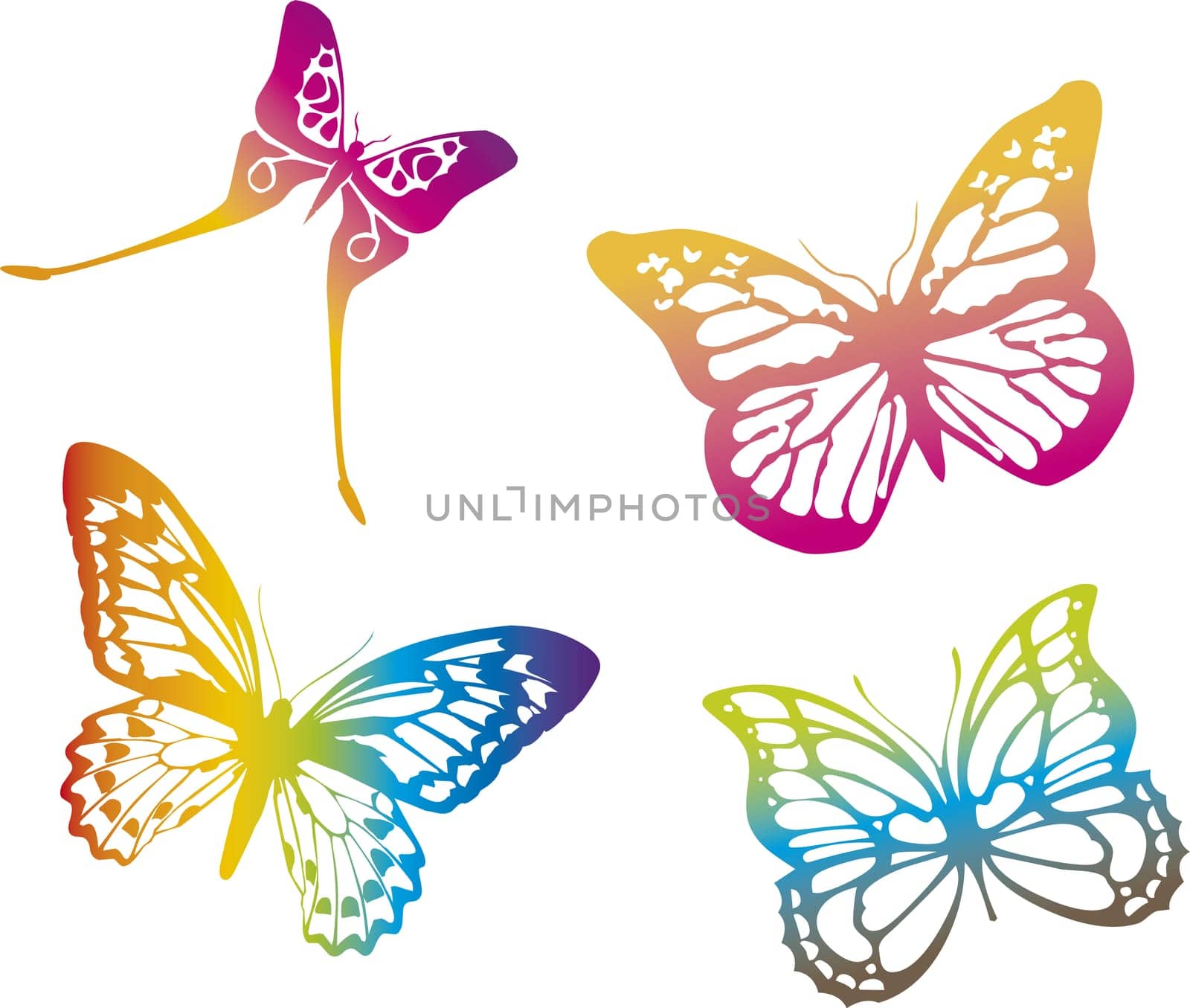 colorful butterflies on white background