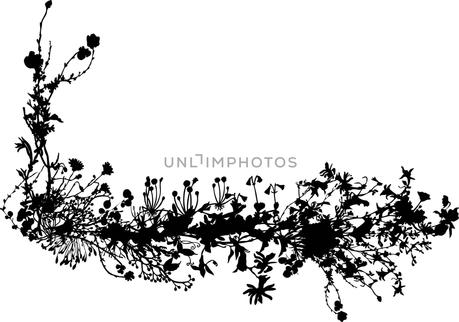 black abstract floral shapes