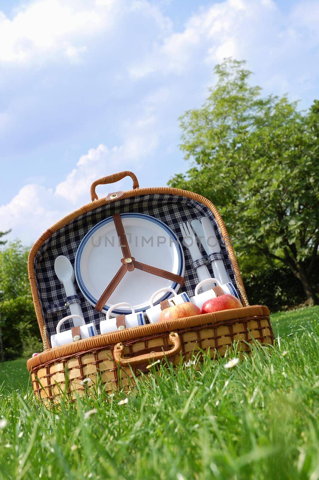 Close up of a picnic basket in the park
