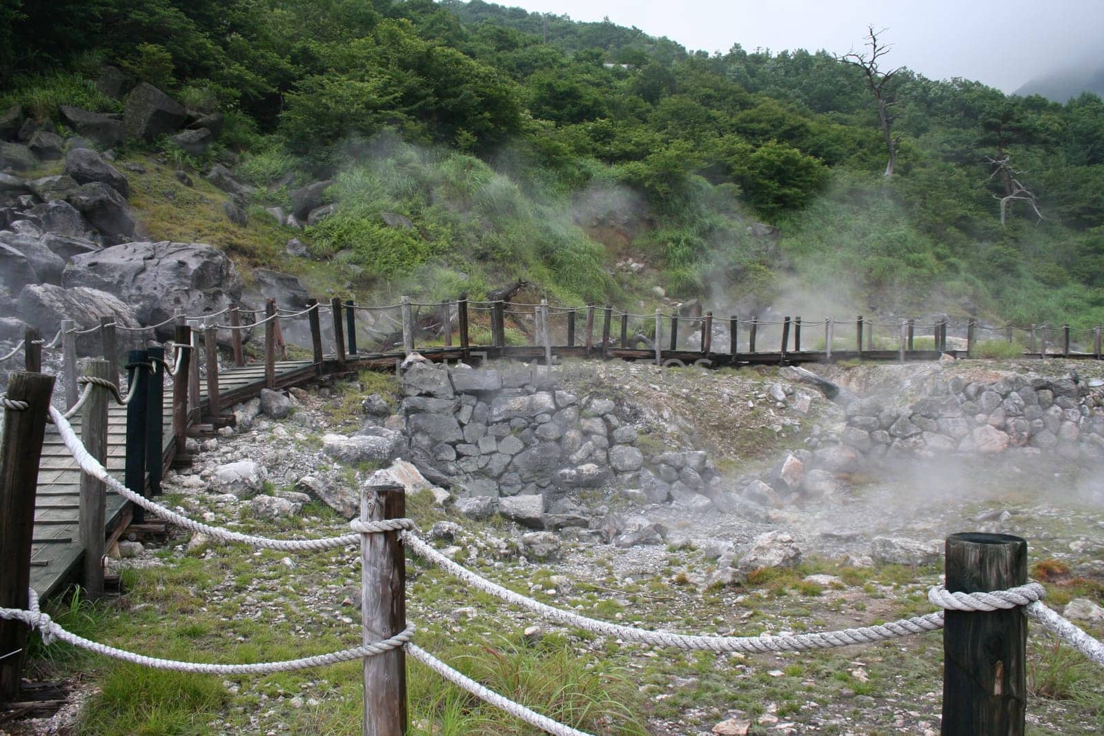 steaming ground
