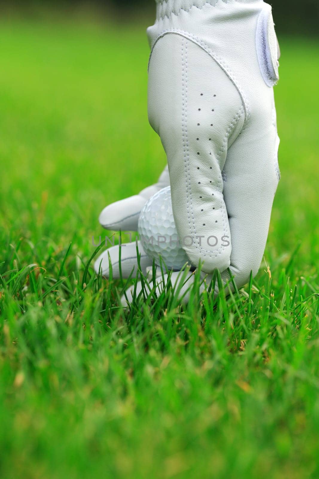Detail of golf ball and gloves
